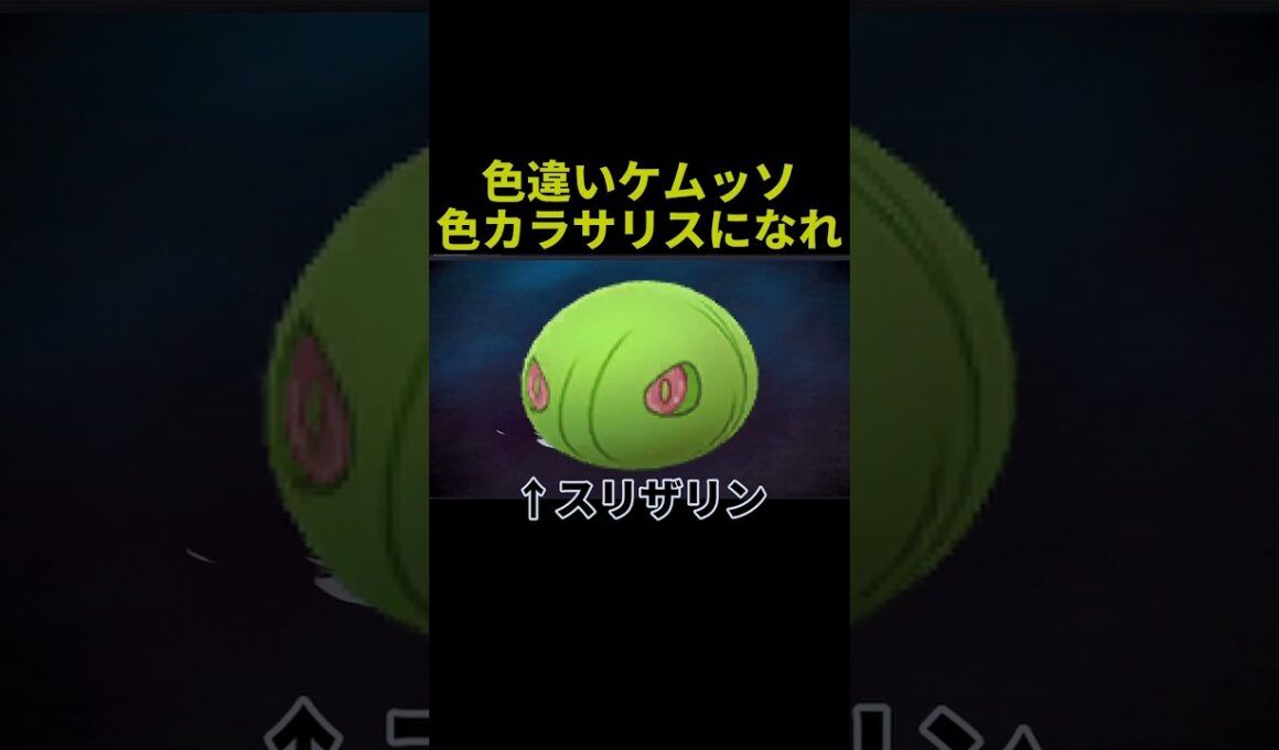 色違いケムッソで誰もが思うこと