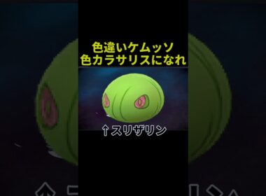 色違いケムッソで誰もが思うこと