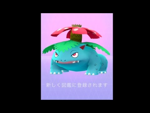 PokemonGO #93 フシギソウからフシギバナへ進化