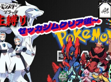 【ポケモンBW 人生縛り】殺気「ポケットモンスター ブラック/ホワイト」#8《初見歓迎》