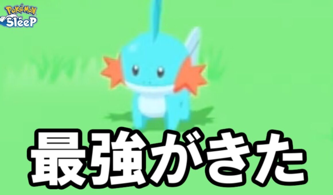ミズゴロウまじでどれにしよう。【ポケモンスリープ】