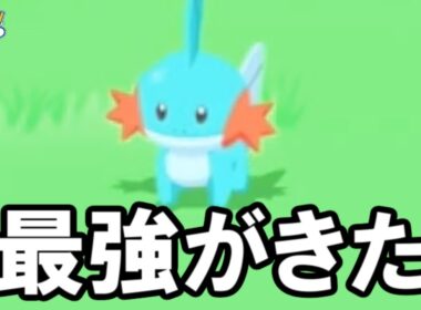 ミズゴロウまじでどれにしよう。【ポケモンスリープ】