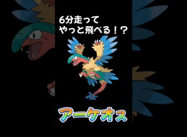 就寝前の夫婦でポケモン講座【アーケオス】毎日投稿35日目