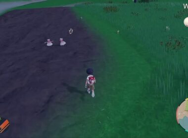 【ポケモンSV】switch2で色違いドンメルを探してウロウロする配信