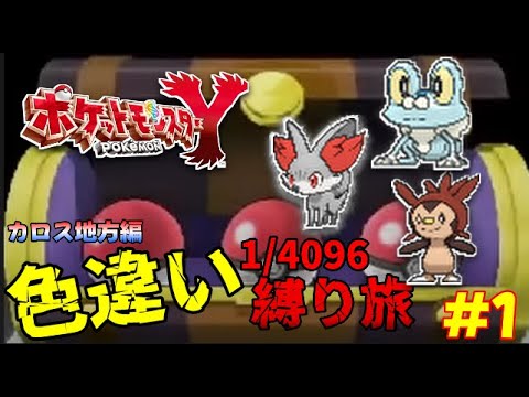 ZAが出る前にポケモンYの色違い縛り旅完結させる配信　一匹目　御三家