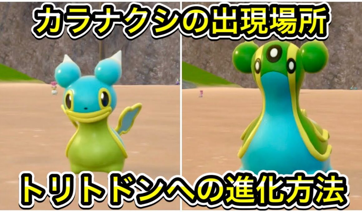 【ポケモンSV】カラナクシの出現場所！トリトドンへの進化方法！