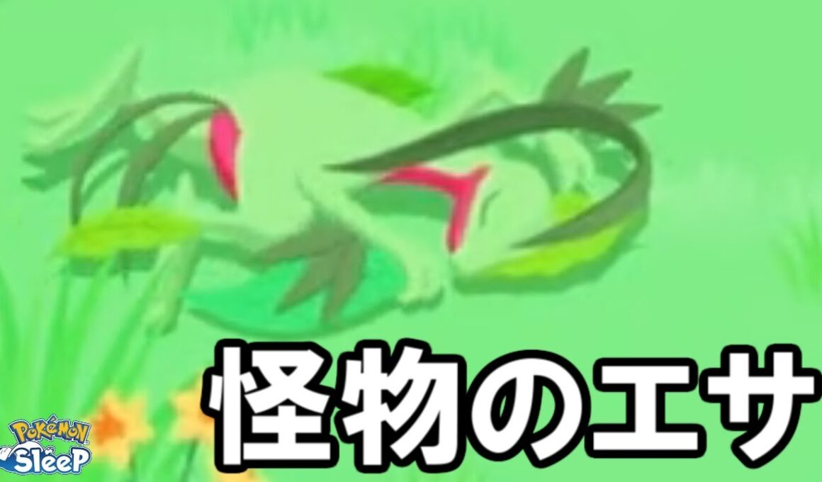 キモリの飴んめえええええええええ。【ポケモンスリープ】