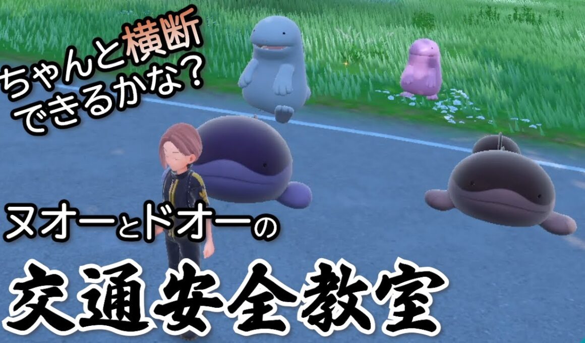 ちゃんと横断できるかな？ヌオーとドオーの交通安全教室【ポケモンSV】