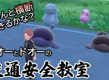 ちゃんと横断できるかな？ヌオーとドオーの交通安全教室【ポケモンSV】