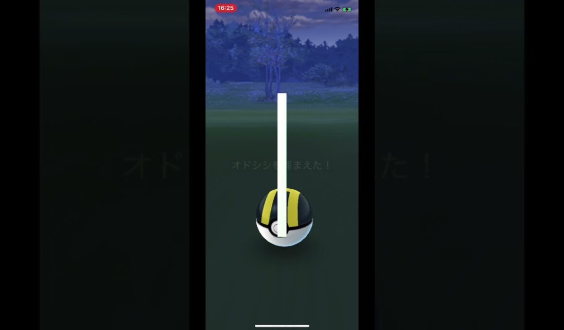 【やっと初色違いベルオドシシ】#shorts ＃Shorts #shiny #pokemongo #オドシシ　#色違い　#色違いベルオドシシ　#ポケモンgo#初色違い　#色違いオドシシ