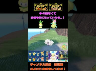 【ポケモンSV】※音量注意　合計３時間粘ってやっと出てきた色チュリネ♀【＃ポケモンSV切抜】【＃ポケモンSV配信】＃Shorts#ポケモンSV
