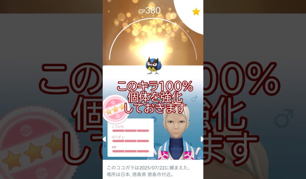 ✨キラ個体値100％👑ココガラ強化PL50🐥💪#ポケモンgo #pokemongo #pokemongoshorts