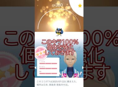 ✨キラ個体値100％👑ココガラ強化PL50🐥💪#ポケモンgo #pokemongo #pokemongoshorts