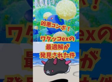 【ポケポケ】対策しないと詰む凶悪コンボ！ワタッコexの最適解はナマコブシだった件。