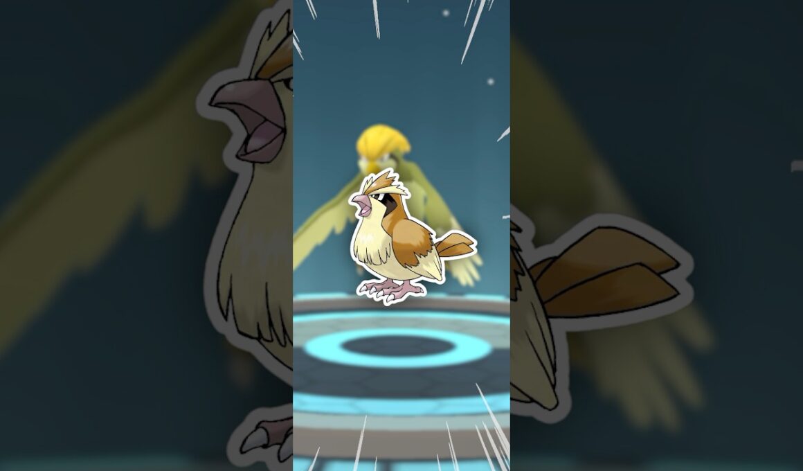 全力で、ポッポマラソンしてみた！【ポケモンGO】