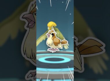 全力で、ポッポマラソンしてみた！【ポケモンGO】