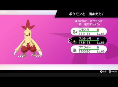 色違いワカシャモ