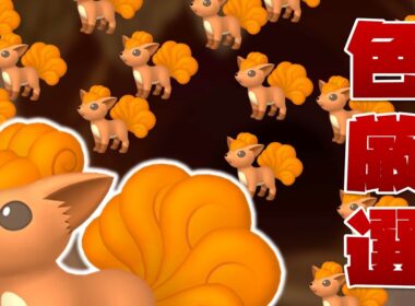 【ポケモンSV】ロコン大量発生で色違い厳選！_20250904 #色違いポケモン