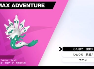 色違いジガルデ厳選 ダイマックスアドベンチャー　ポケモン剣盾