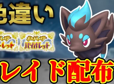 【逆にすぐ出ました･･･】 色ゾロア 色違いレイド配布 shiny raid 【ポケモンSV】#参加型配信