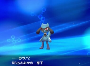 リオル　進化　#おうち時間 #pokemon #ルカリオ