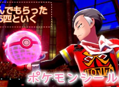 ♯8  エール…そして再びワイルドエリアへ【ポケモンシールド】