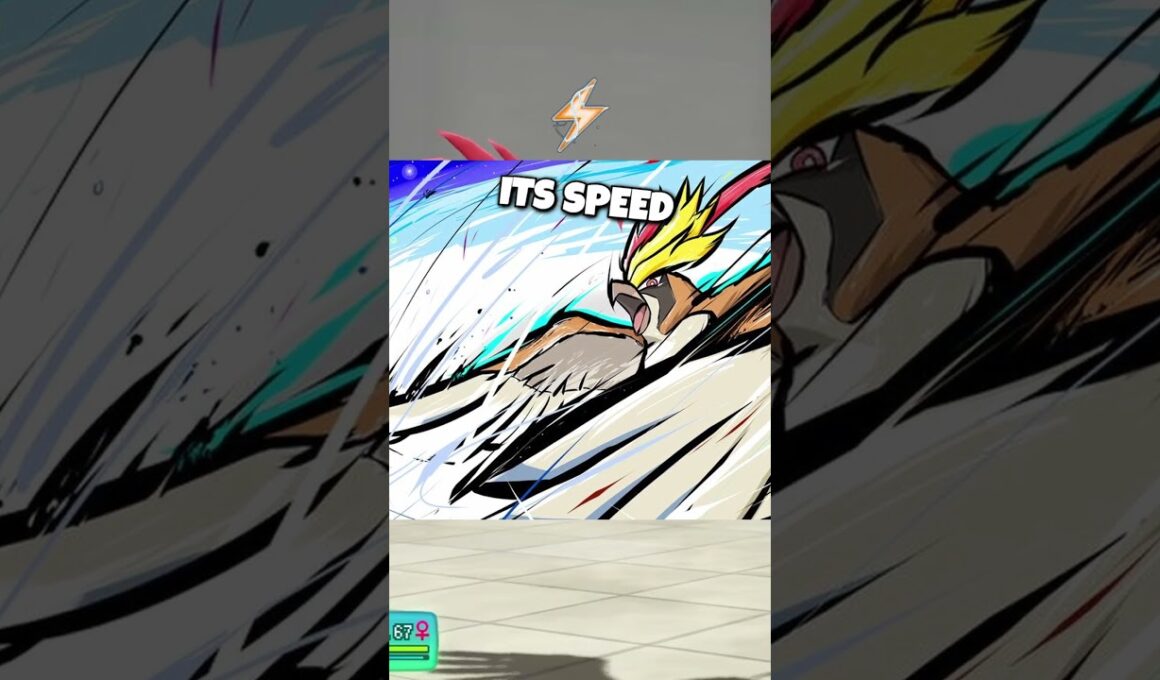 ポケモン図鑑エントリー: メガピジョット 💨 面白いポケモンショートパンツ