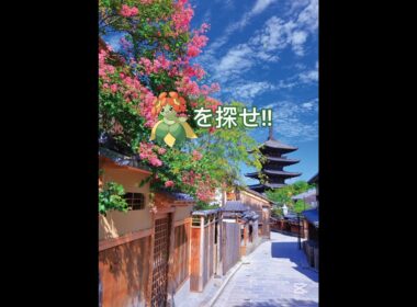 キレイハナを探せ!!中級☺️#ポケモン #shorts #ポケモンクイズ