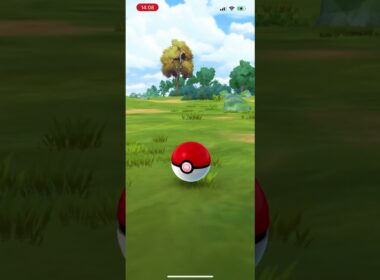 #ポケモンgo  クルミル色違いー