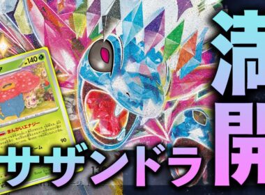 【ポケカ/対戦】サザンドラが活力の森でまさかの強化！？満開パワーでねじ伏せる！｜サザンドラex VS Nのゾロアークex ｜Pokémon TCG Battle