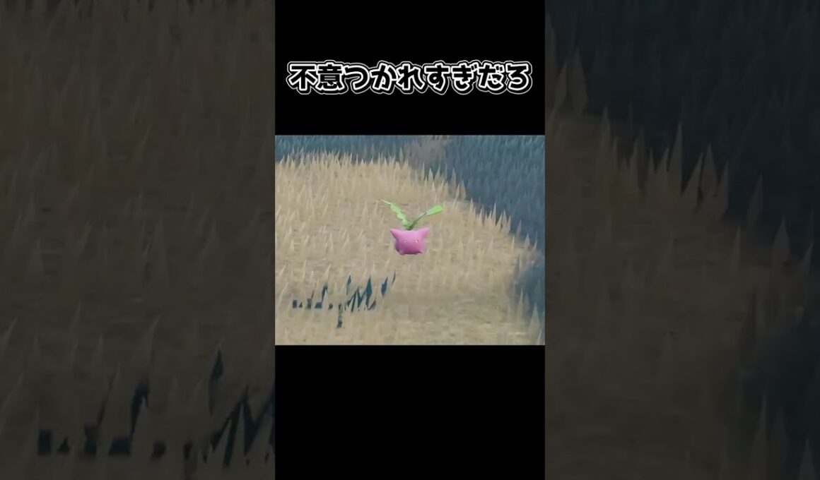 【ポケモンSV】ハネッコがかわいいだけの動画