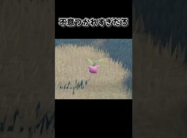 【ポケモンSV】ハネッコがかわいいだけの動画