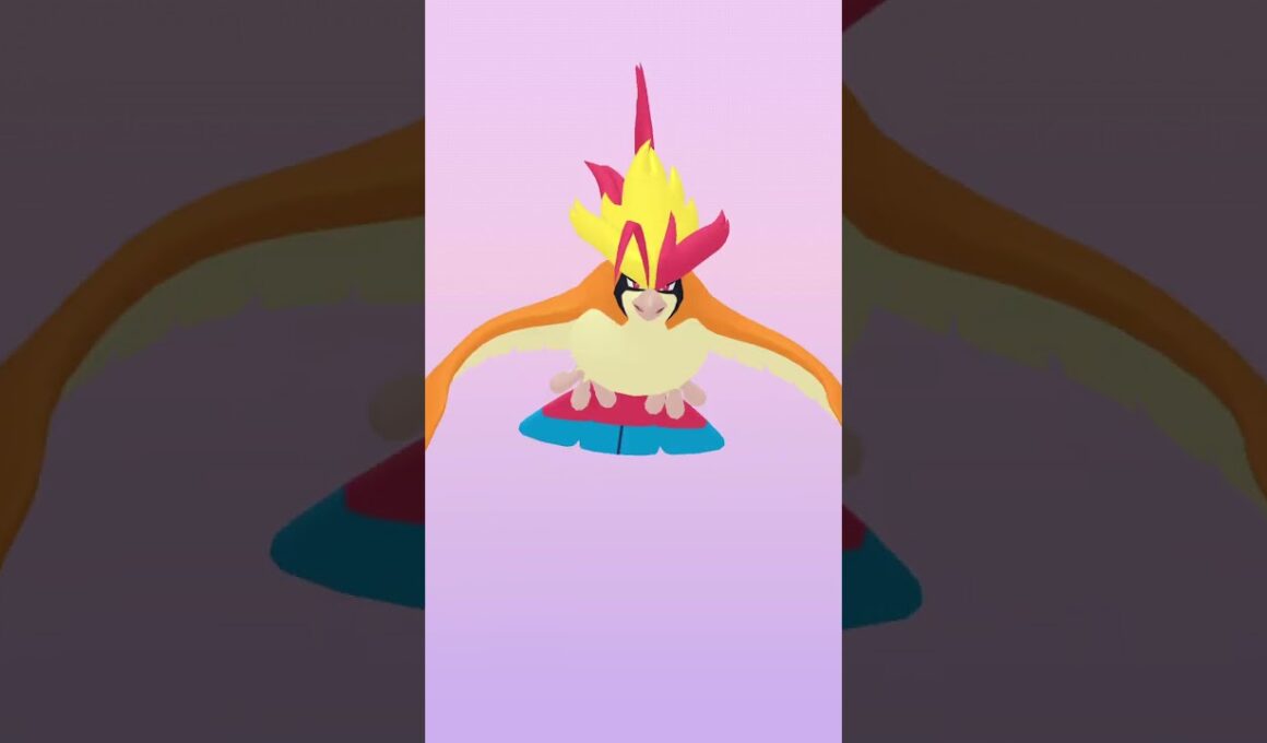 メガピジョット Mega Pidgeot【ポケモンHOME】