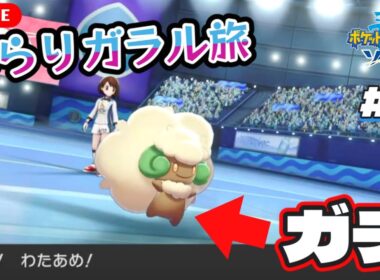 【ポケモン剣盾】ルリナ戦のエルフーン、ガチでした【ぶらりガラル旅配信 #３】