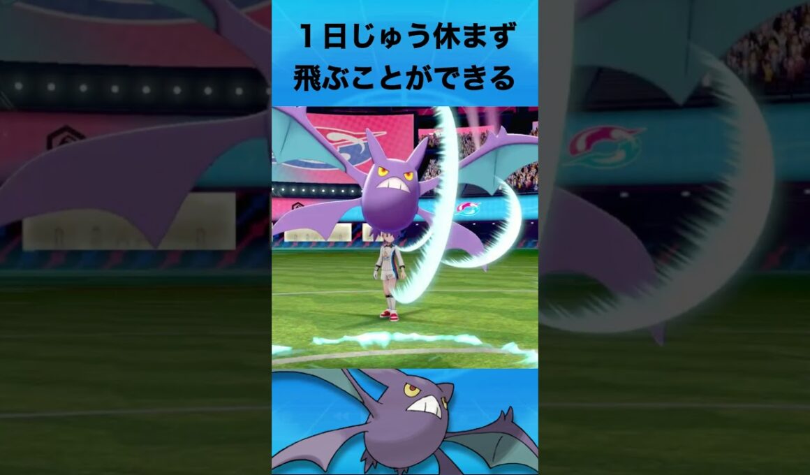 クロバットについて #ポケモン #クロバット
