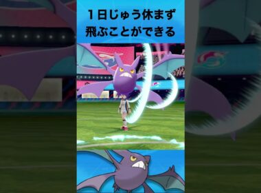 クロバットについて #ポケモン #クロバット