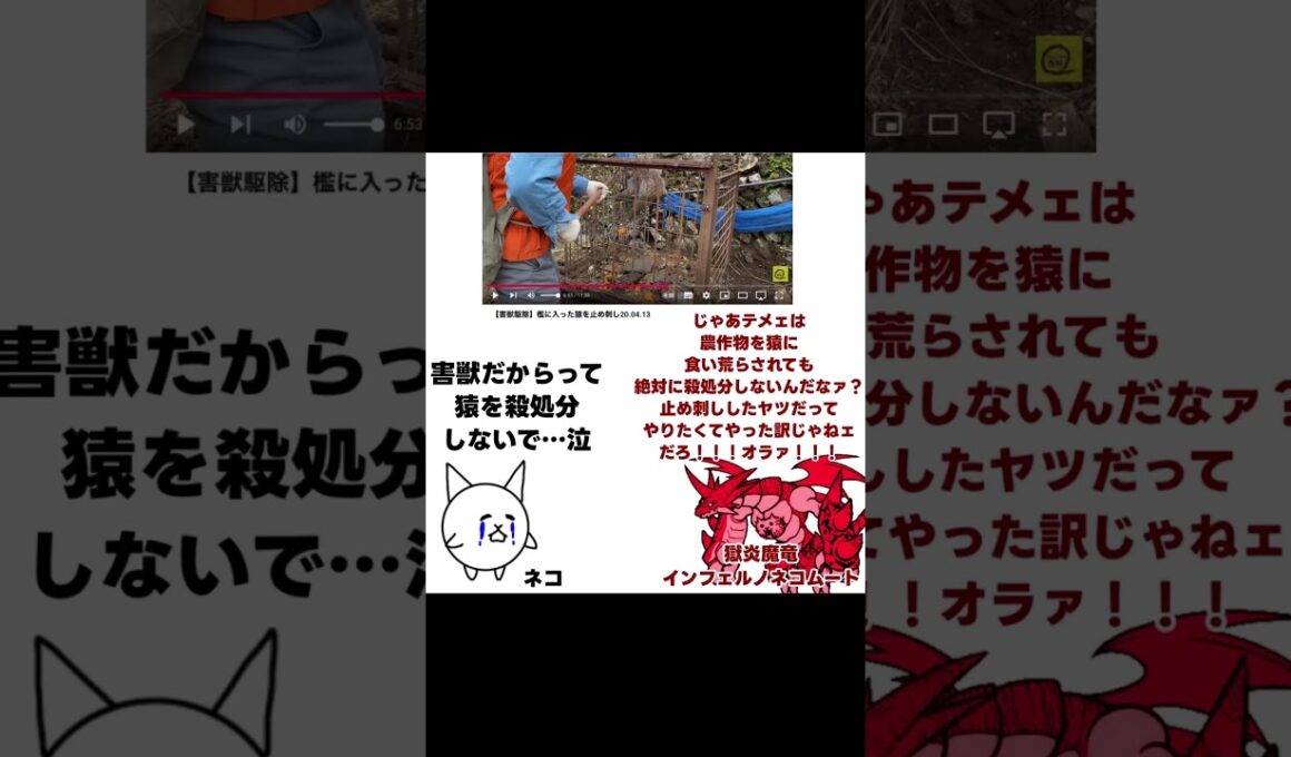 【にゃんこ大戦争のネコとネコムートの会話】猿を殺処分するな‼️ #shorts #にゃんこ大戦争 #にゃんこ #ネコムート #thebattlecat