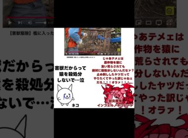 【にゃんこ大戦争のネコとネコムートの会話】猿を殺処分するな‼️ #shorts #にゃんこ大戦争 #にゃんこ #ネコムート #thebattlecat