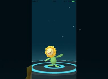 ポケモンGO 金・銀追加 キマワリに進化！