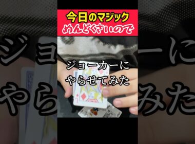 今日のマジックめんどくさいのでジョーカーにやらせてみた#マジック #手品 #マジシャン #トランプ #トランプマジック