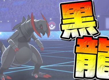 違いのかっこよすぎるオノノクスを全抜き型のエースで暴れる！！！【ポケモン】【ポケモン剣盾】