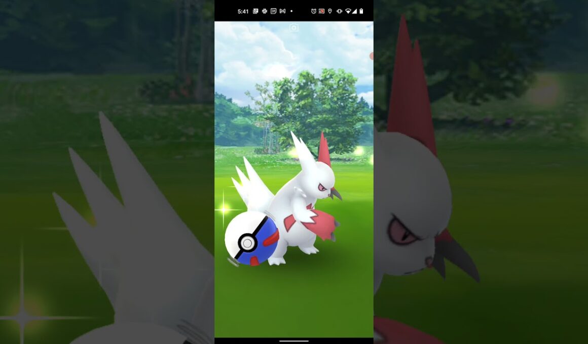 【ポケモンGO】ザングースをワンショット・エクセレント・カーブスローでゲットしただけの動画