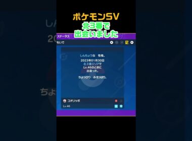 色違いコオリッポ　#shorts　ポケモンSV