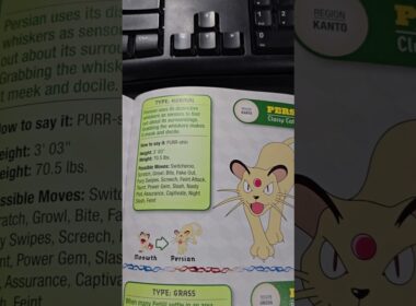 How to Pronounce Persian + What His Name REALLY Means! #Pokemon #Shorts