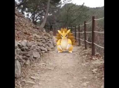 고지 ( Sandslash ) サンドパン ( 穿山王 )