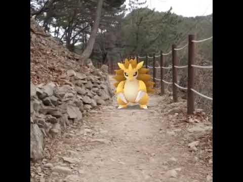 고지 ( Sandslash ) サンドパン ( 穿山王 )