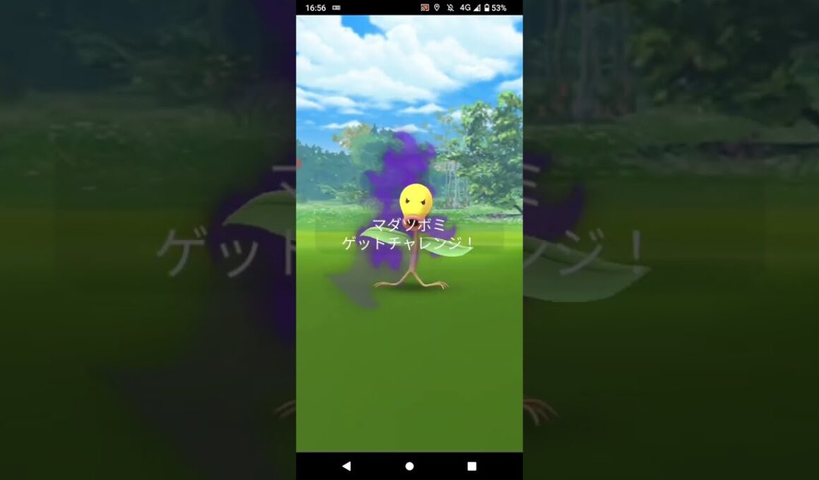 ポケモンGO「ソロシャドウレイドでマダツボミをリトレーンするまで」