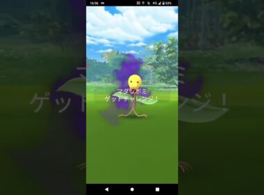 ポケモンGO「ソロシャドウレイドでマダツボミをリトレーンするまで」