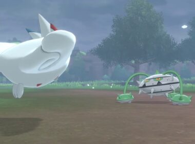 ポケモン ソード ナットレイGET