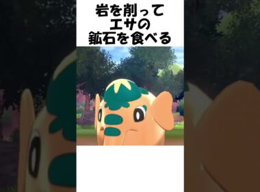 【ポケモン】硬いゾウ #Shorts